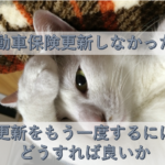 うっかり自動車保険の更新をしないままだった！〜更新しなかった時にやるべき手続きの方法〜